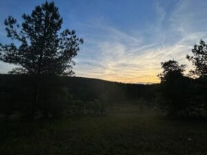 Silhouetted trees stand against a dimly lit field at sunset, with a clear sky showing streaks of clouds and the sun setting behind distant hills.