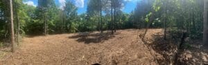 A cleared patch of land in a forest with scattered trees and mulched ground under a partly cloudy sky.