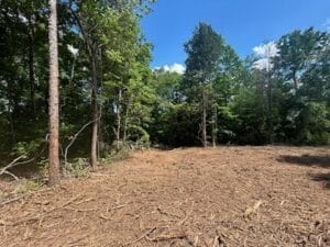 Cleared area of land surrounded by trees under a blue sky with scattered clouds.