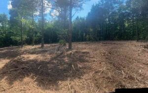 A cleared, dry patch of land bordered by dense trees under a blue sky with scattered clouds.