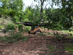 A small bulldozer with a grapple attachment lifts a fallen tree in a wooded area with scattered branches and debris.